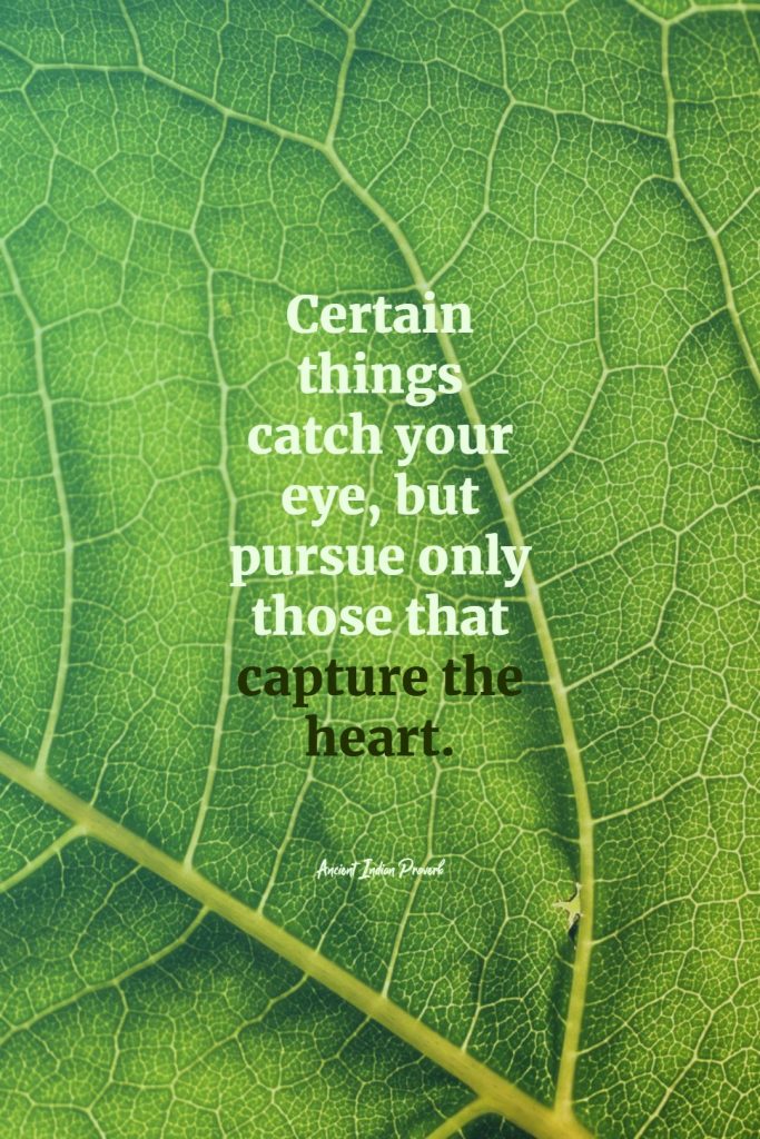 Ancient Indian Proverb ‘s quote about heart. Certain things catch your eye,…