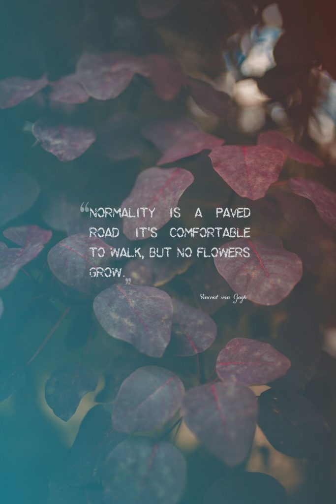 Vincent van Gogh ‘s quote about comfort,normal. Normality is a paved road:…