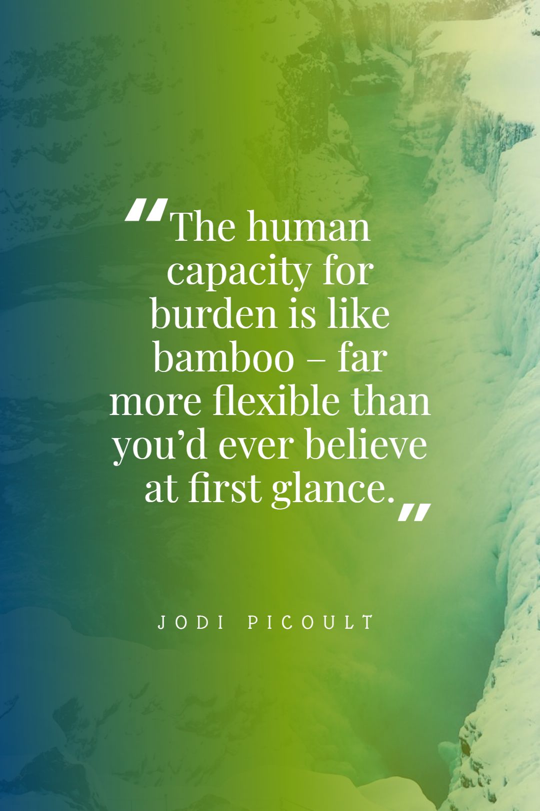 Jodi Picoult ‘s quote about burden. The human capacity for burden…