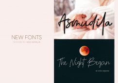 New Artistic Signature Fonts from Ana Natalia