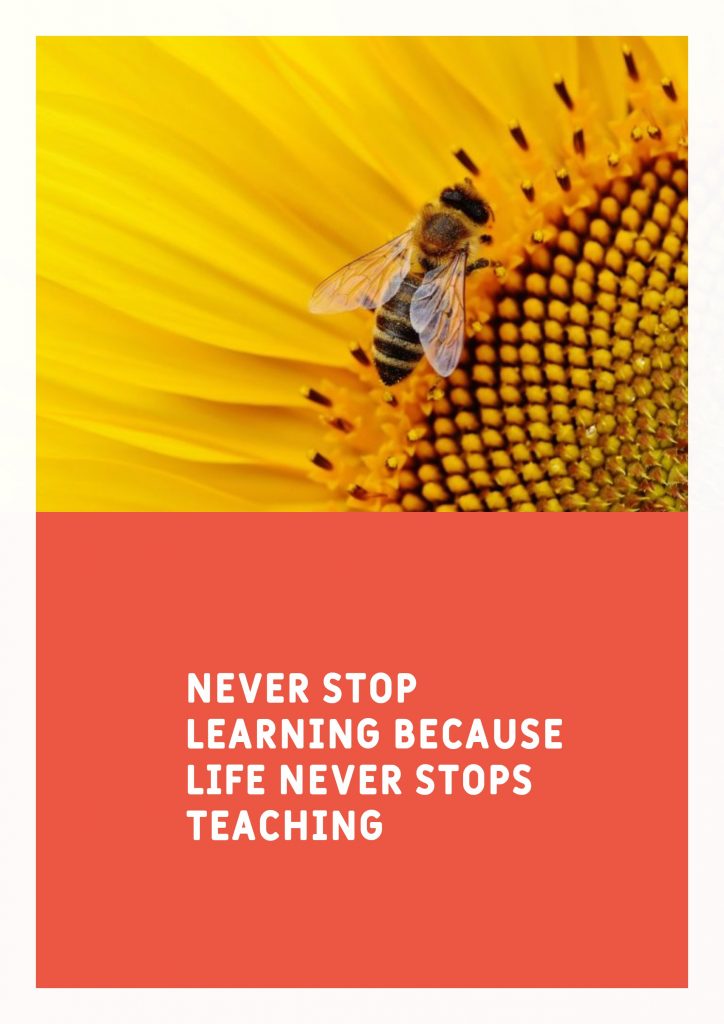 noname ‘s quote about learn,teach. Never stop learning because life…