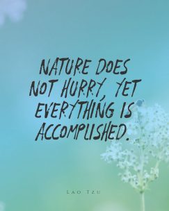 Lao Tzu ‘s quote about hurry,patience. Nature does not hurry, yet…