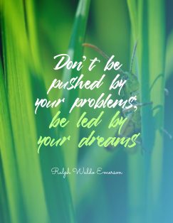 Ralph Waldo Emerson ‘s quote about dreams. Don’t be pushed by your…