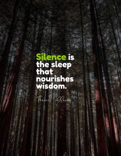 Francis Bacon’s quotes about silence