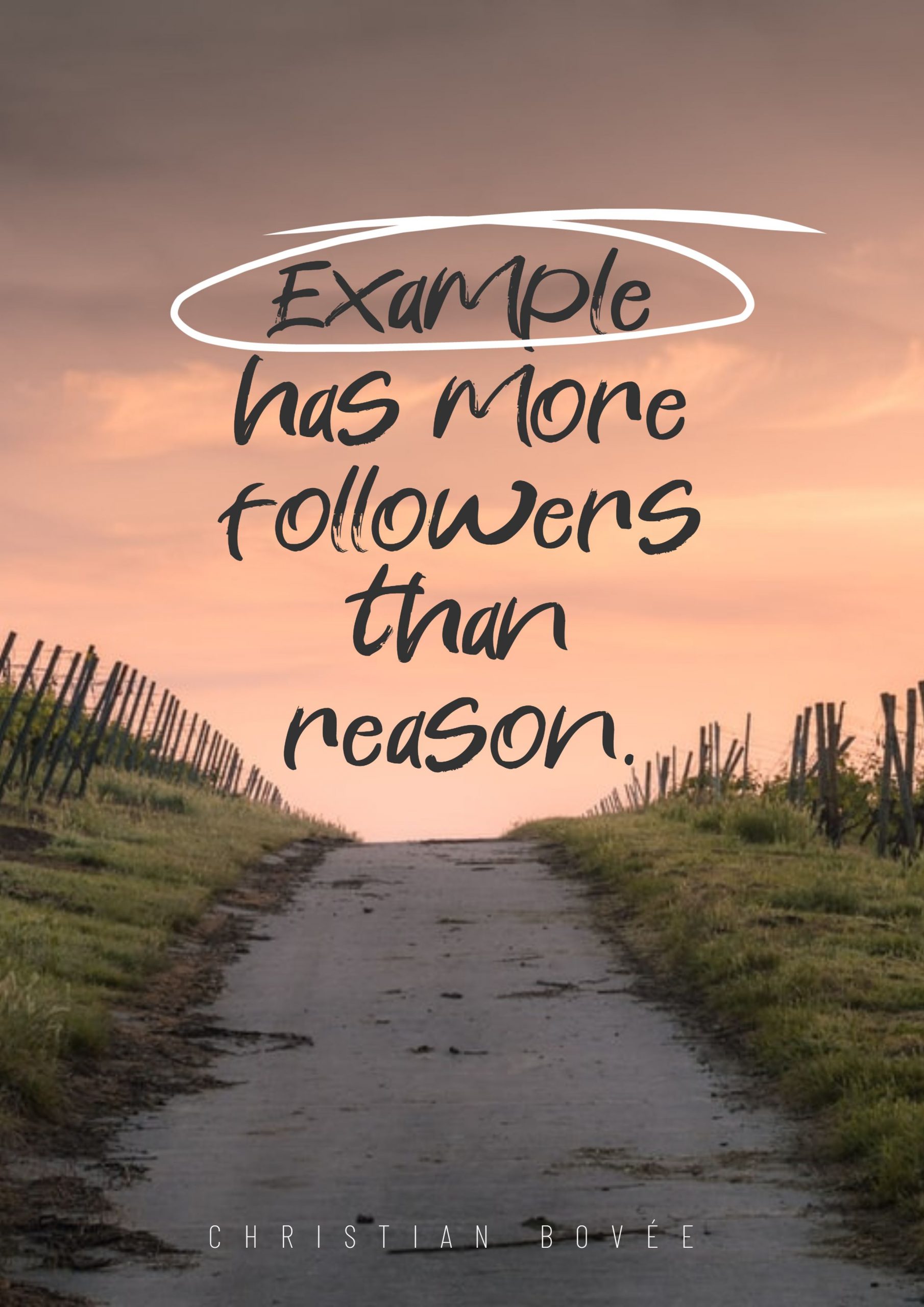 Christian Bovee’s quote about Example. Example has more followers than…
